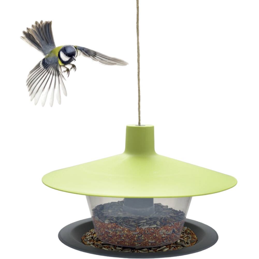 Ein Vogel fliegt zu einem hängenden, grünen Vogelfutterspender, der mit verschiedenen Samen gefüllt ist.