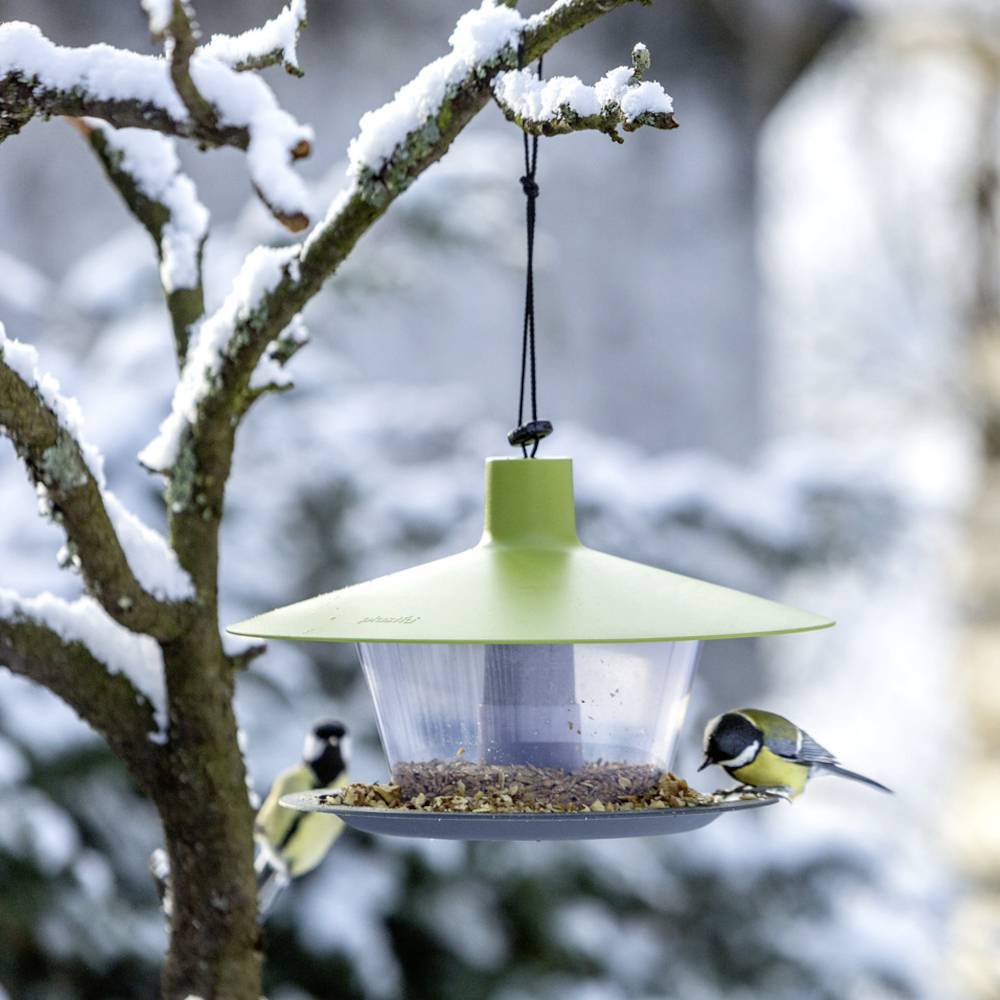 Zwei Meisen fressen an einem Vogelfutterspender, der an einem schneebedeckten Ast hängt. Winterlandschaft im Hintergrund.