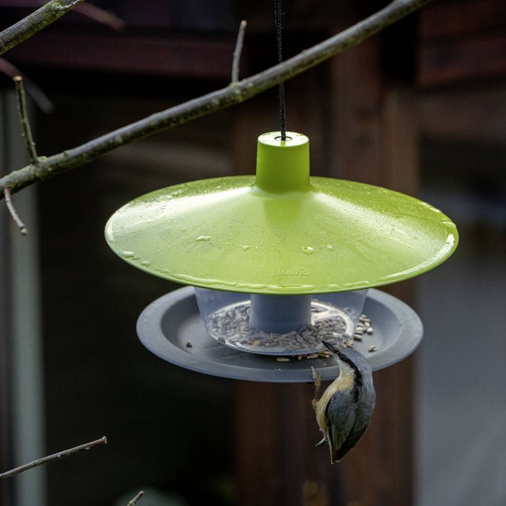 Ein Vogel hängt kopfüber an einem grünen Vogelfutterspender und frisst Samen. Außenbereich mit unscharfen Ästen im Hintergrund.