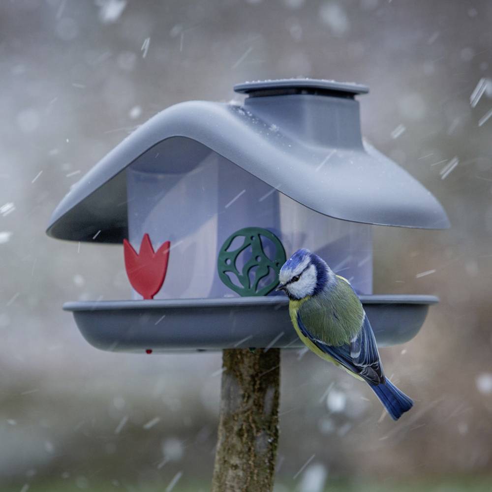Ein Vogel sitzt auf einem grauen Vogelhäuschen im Schnee. Das Vogelhäuschen hat dekorative Blumenmotive.