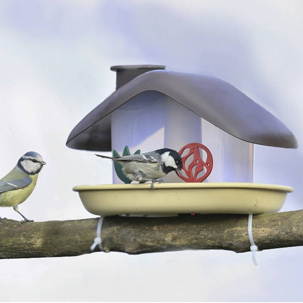 Zwei Vögel, eine Blaumeise und eine Kohlmeise, sitzen auf einem Ast neben einem modernen Vogelhäuschen, aus dem sie fressen.