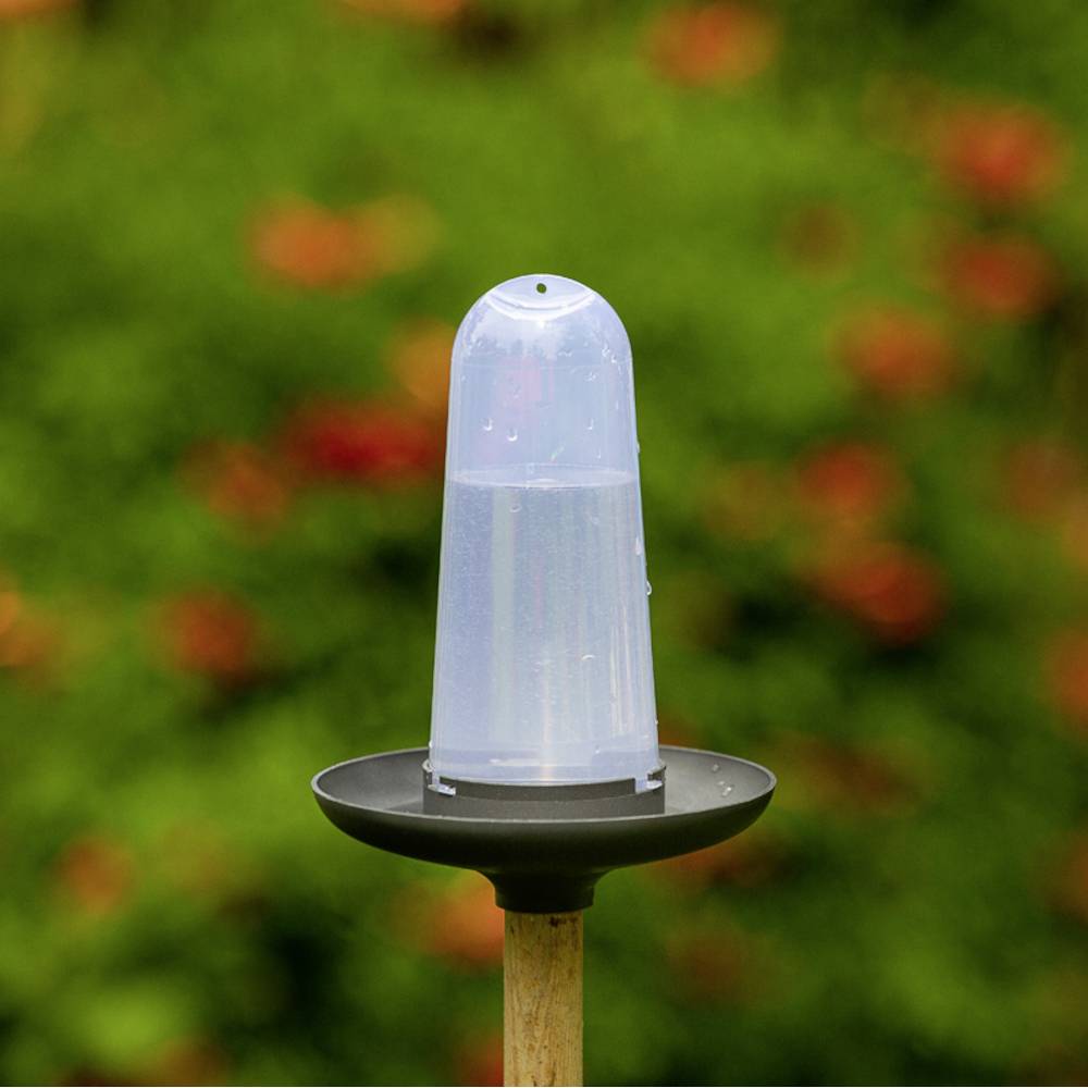 Ein Regenmesser im Garten, gefüllt mit Wasser, vor einem unscharfen Hintergrund aus bunten Blumen.