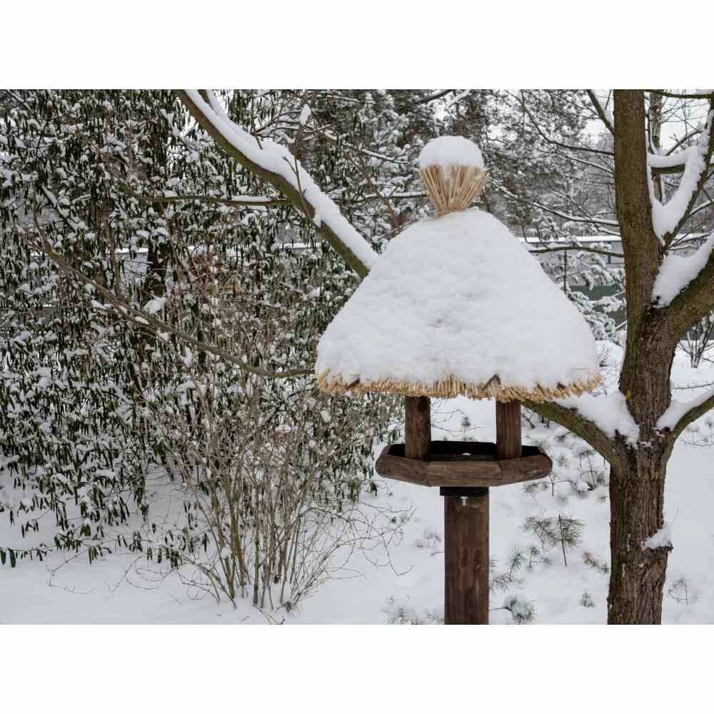 Schneebedecktes Vogelhaus im winterlichen Garten, umgeben von schneebedeckten Bäumen und Sträuchern.