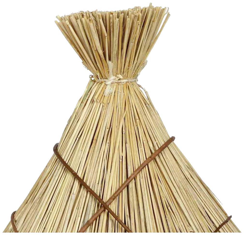 Ein Bündel trockener Strohhalme, oben zusammengebunden.