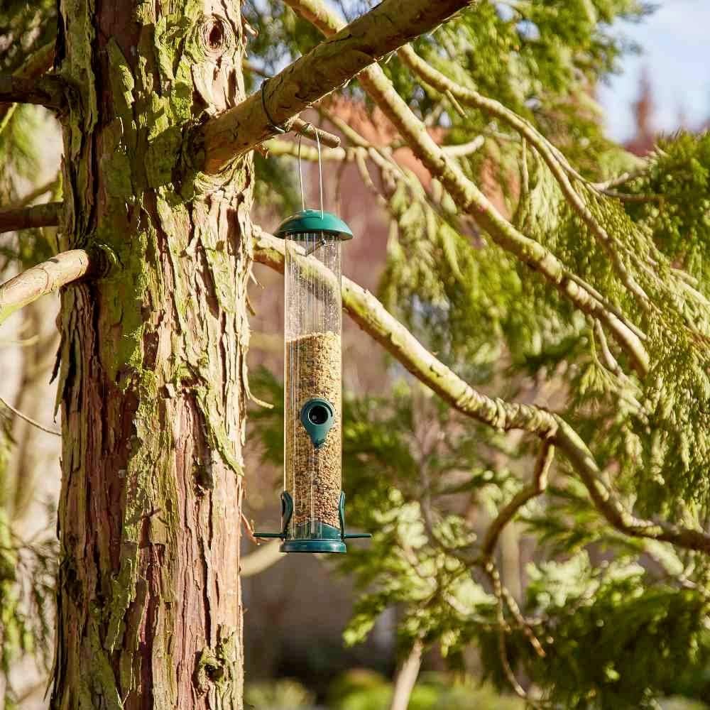 Ein grüner Vogelfutterspender hängt an einem Ast eines Nadelbaums, gefüllt mit Samen, in einer sonnigen Gartenumgebung.