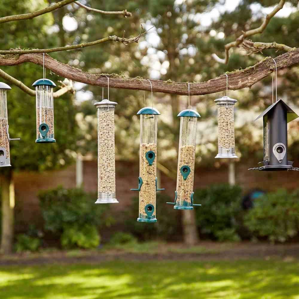 Mehrere Vogelhäuser hängen an einem Ast in einem Garten, die mit verschiedenen Samen gefüllt sind, um Vögel anzulocken.