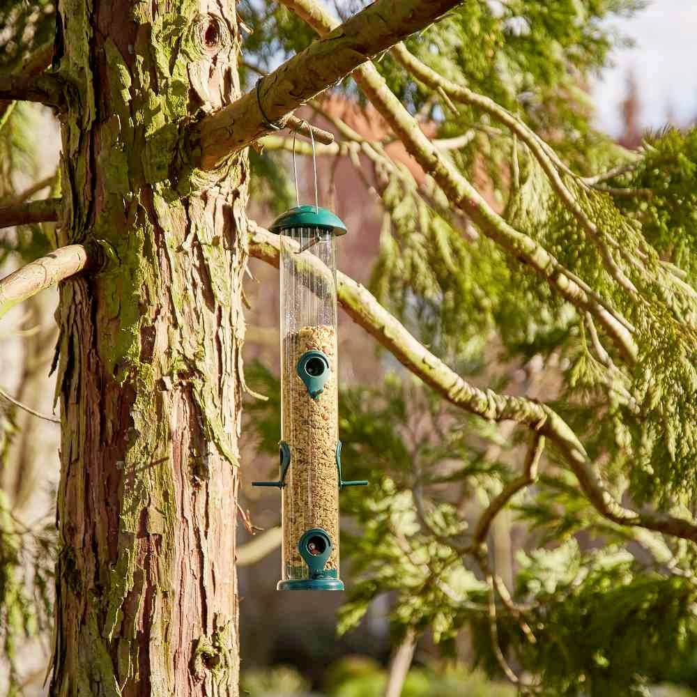 Ein grüner Vogelhäuschenspender hängt an einem Baum, gefüllt mit Vogelfutter und umgeben von Nadelbaumzweigen im Sonnenlicht.