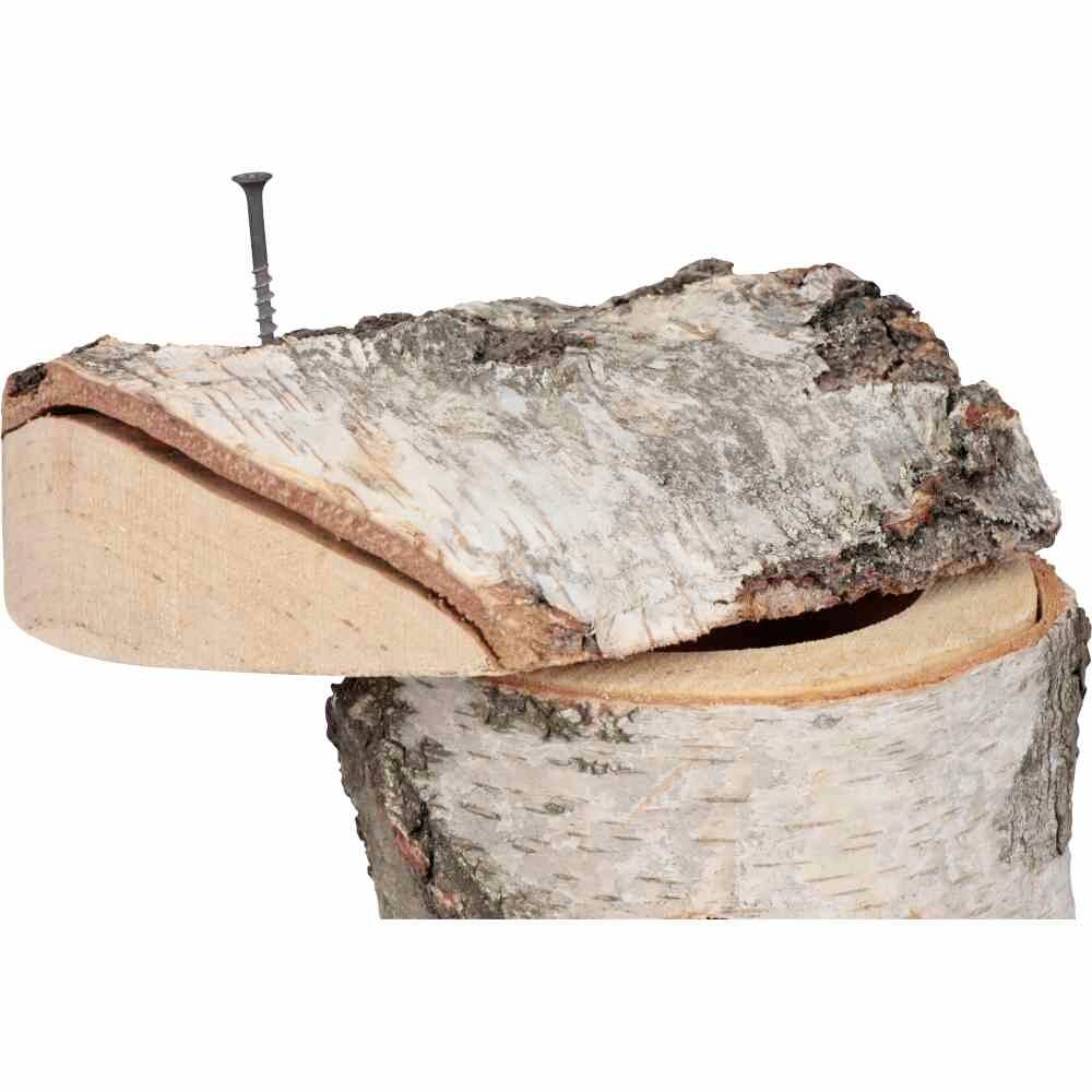 Ein Nagel steckt in einem Stück Birkenholz. Ein rundes Stück Holz liegt darunter, das eine dekorative Funktion haben könnte.