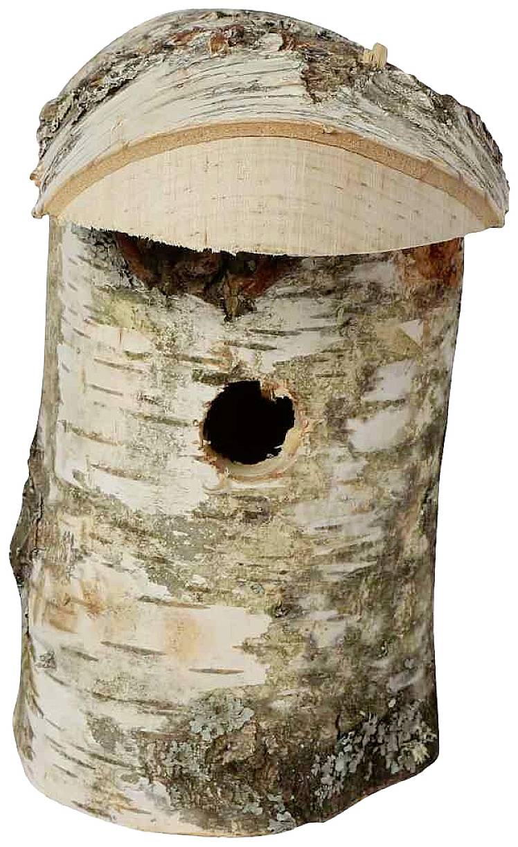 Ein einfacher, kurzer Holzabschnitt aus Birke mit einem durchgehenden Loch in der Mitte, das wie ein Vogelhaus aussieht.