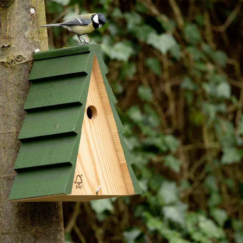 Eine Meise sitzt auf einem grünen Vogelhaus in Form eines Tannenbaums, das an einem Baum befestigt ist.