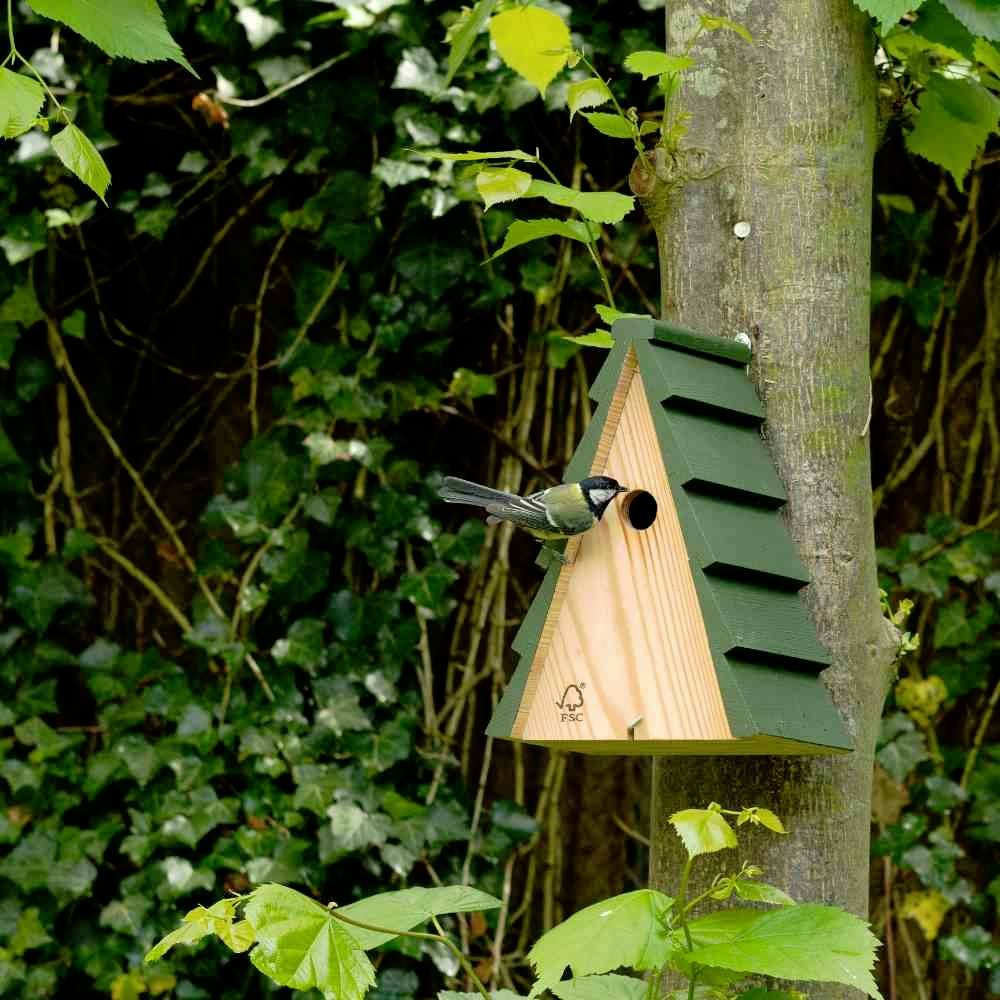 Ein grünes Vogelhaus an einem Baum, mit einer Kohlmeise, die hineinschaut. Umgeben von dichten, grünen Blättern und Efeu.