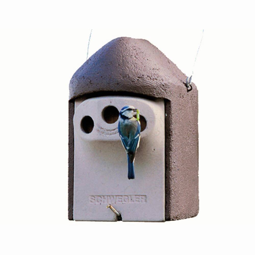 Ein blauer Vogel sitzt vor einem Nistkasten aus Beton. Der Nistkasten hat zwei runde Öffnungen und hängt an zwei Drähten.