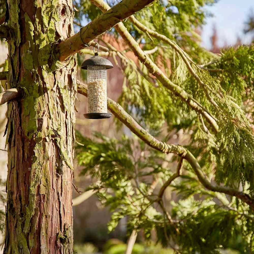 Ein Futterspender hängt an einem Baumzweig mit Sonnenblumenkernen gefüllt. Die Umgebung ist ein sonniger Garten mit Bäumen.
