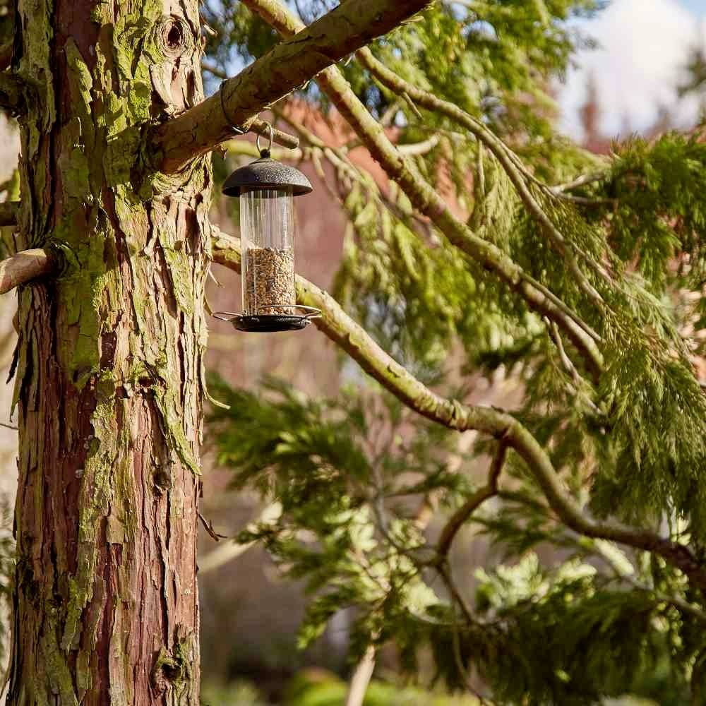 Siena Garden D37191 Vogelfuttersäule Steel für Mischfutter 1St.