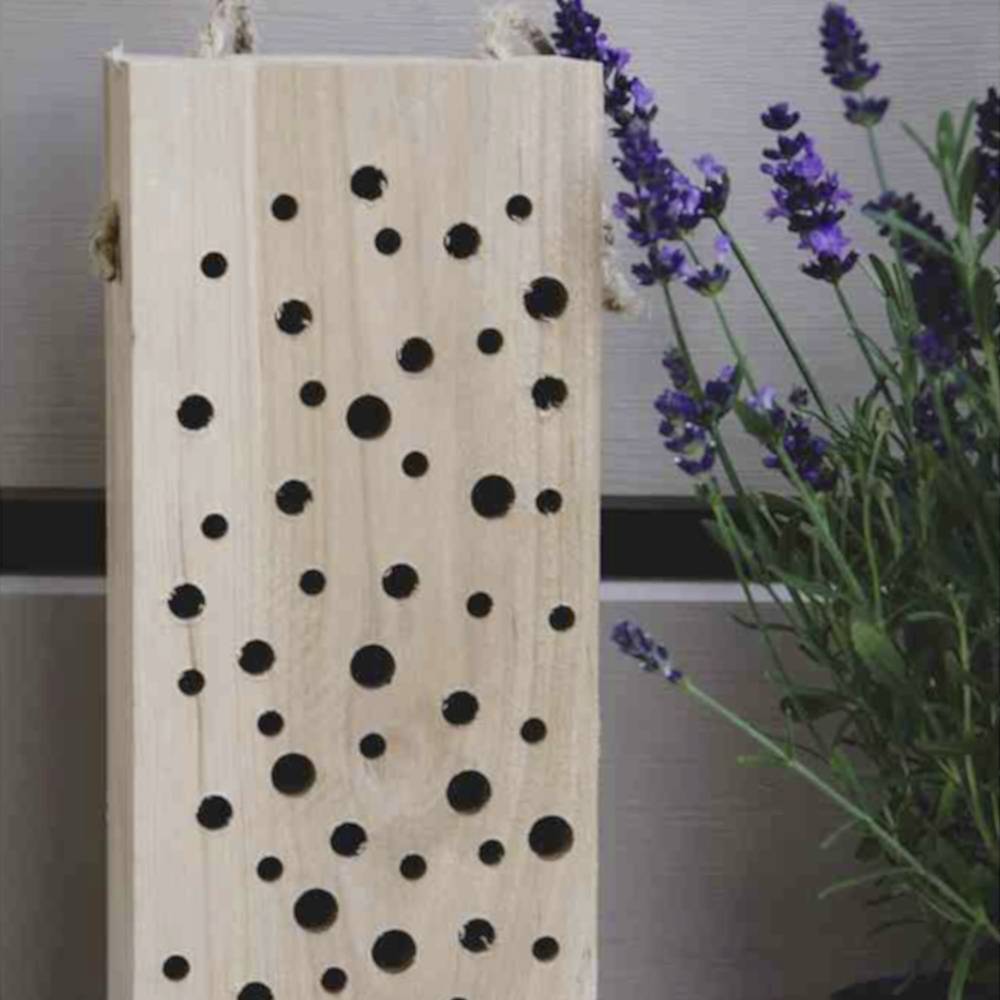 Ein Holzblock mit unterschiedlich großen Löchern neben lavendelähnlichen Blumen, möglicherweise als Insektenhotel gestaltet.