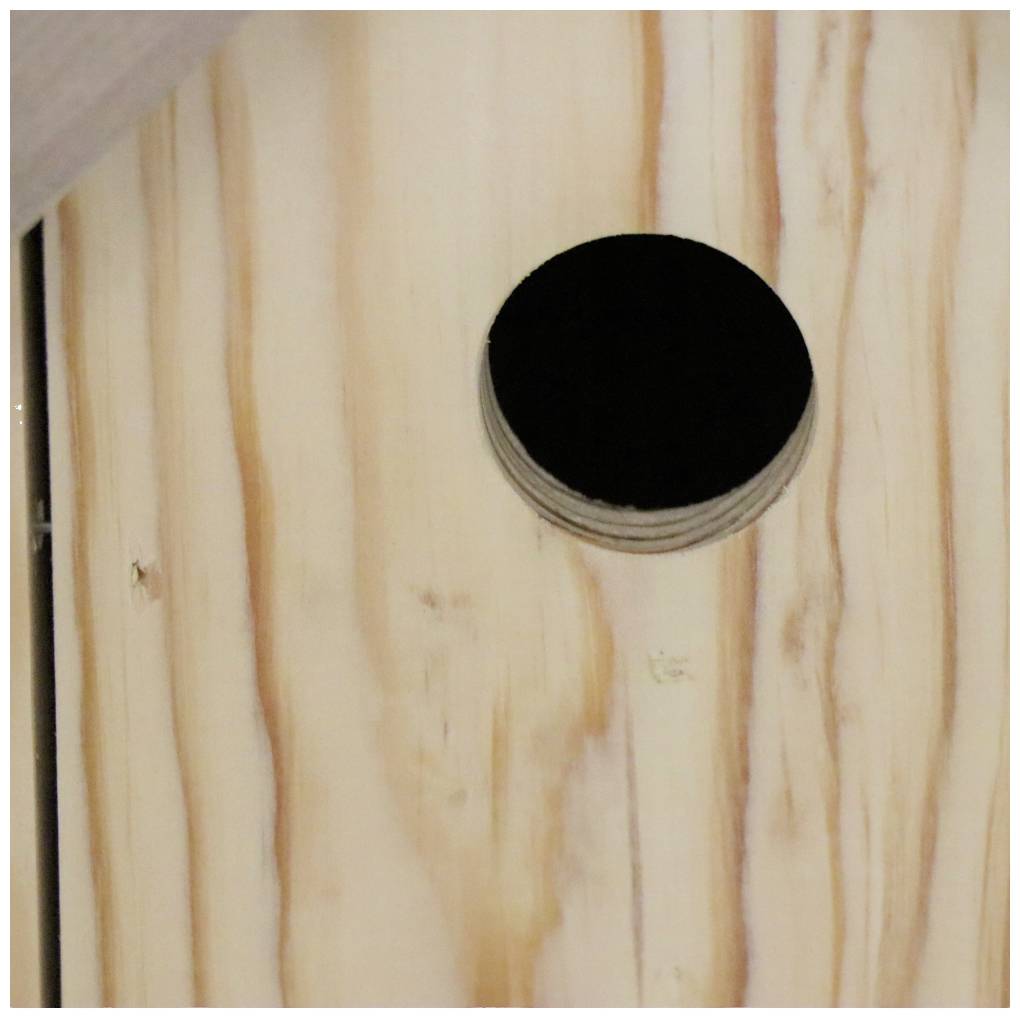 Ein runder, schwarzer Kreis in der Mitte eines Holzbretts mit sichtbarer Maserung.