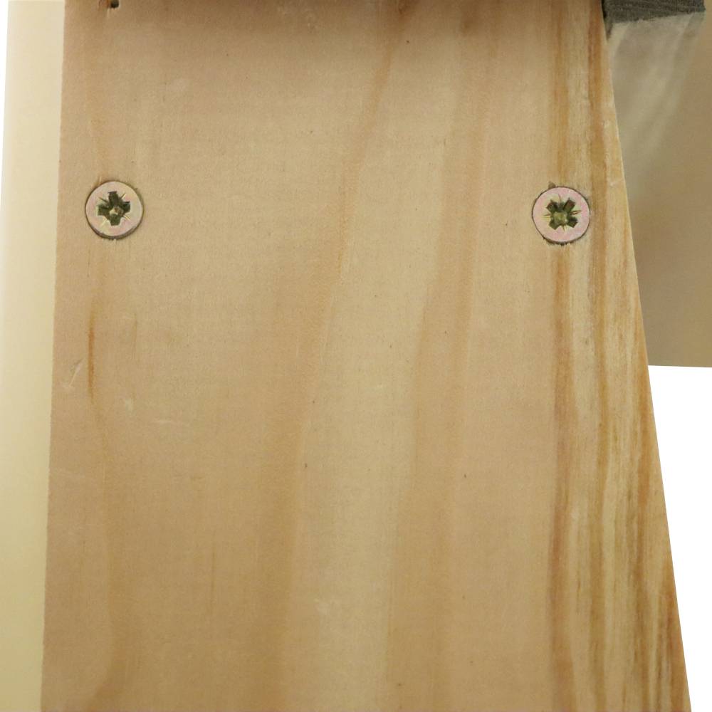 Ein Stück helles Holz mit zwei Schrauben darauf befestigt.