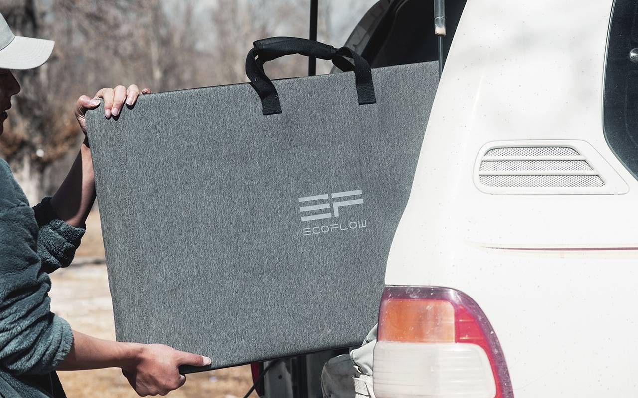 ECOFLOW 220W Panel 666332 Solar-Ladegerät 220 W