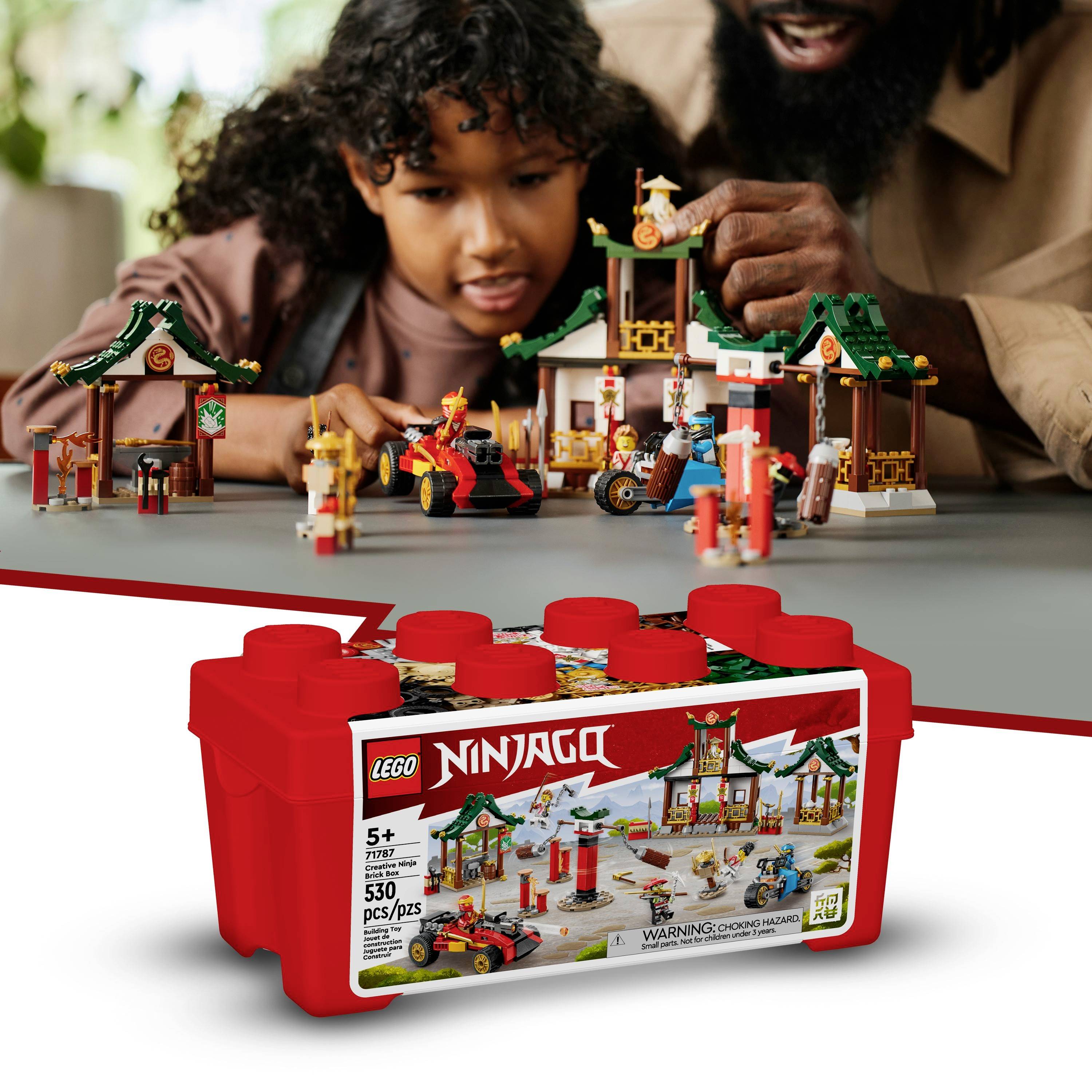 71787 LEGO® NINJAGO Kreative Ninja Steinebox