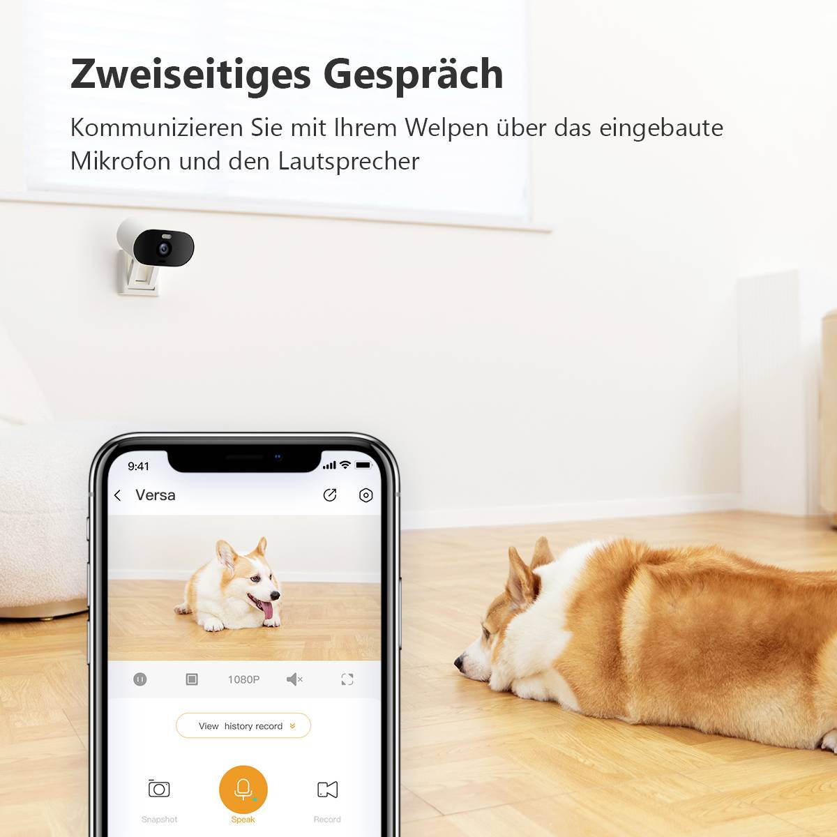 Ein Smartphone zeigt eine Videoübertragungs-App mit einem Hund, der vor einer Kamera auf dem Wohnzimmerboden liegt. Text: 'Zweiseitiges Gespräch'.
