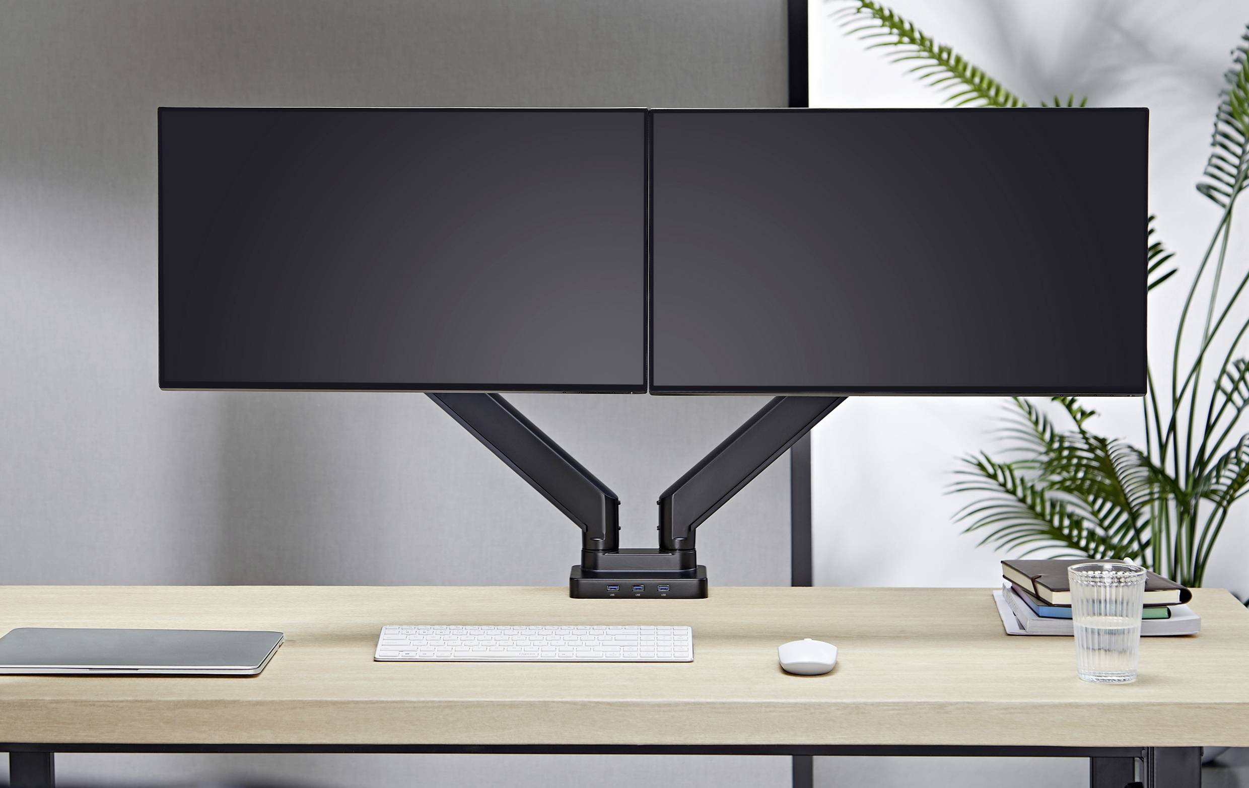Zwei schwarze Flachbildschirme auf einem Schreibtisch mit einer Tastatur und Maus. Links ein Laptop, rechts eine Pflanze im Hintergrund.