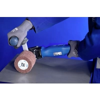 PFERD TOOLS Satiniermaschine 83300270 ESER 12/25 230V Werkzeugaufnahme 19mm 125mm 100mm PFERD TOOLS Satiniermaschine 83300270 ESER 12/25 230V Werkzeugaufnahme 19mm 125mm 100mm