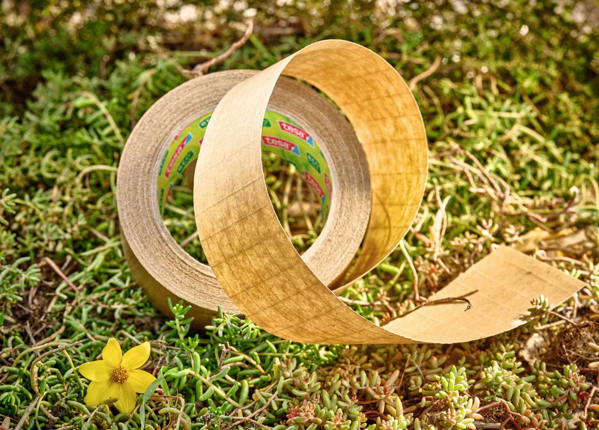 Eine Rolle braunes Klebeband liegt auf grünem Moos, daneben eine gelbe Blume.