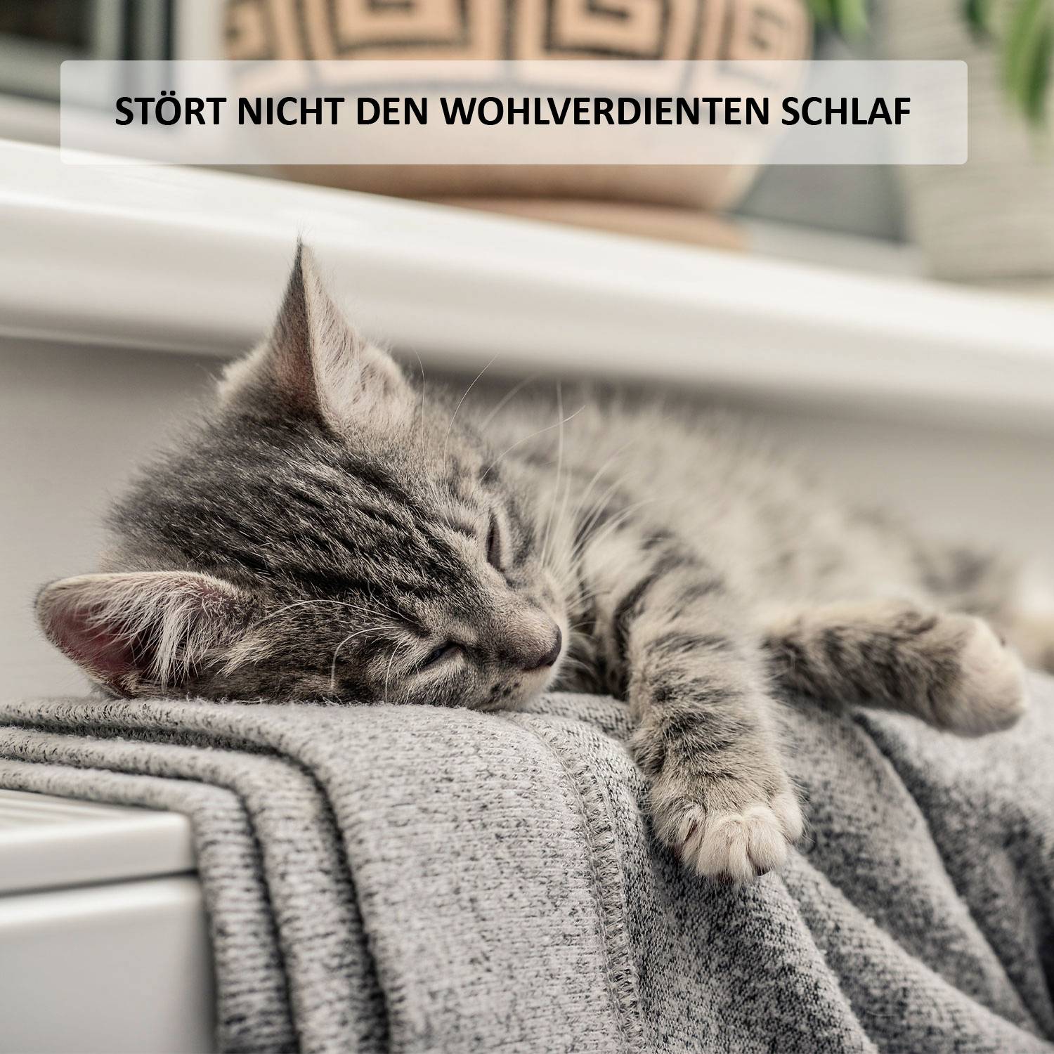 POPP POPZ701721 Smart Thermostat Zigbee Funk-Heizkörperthermostat elektronisch