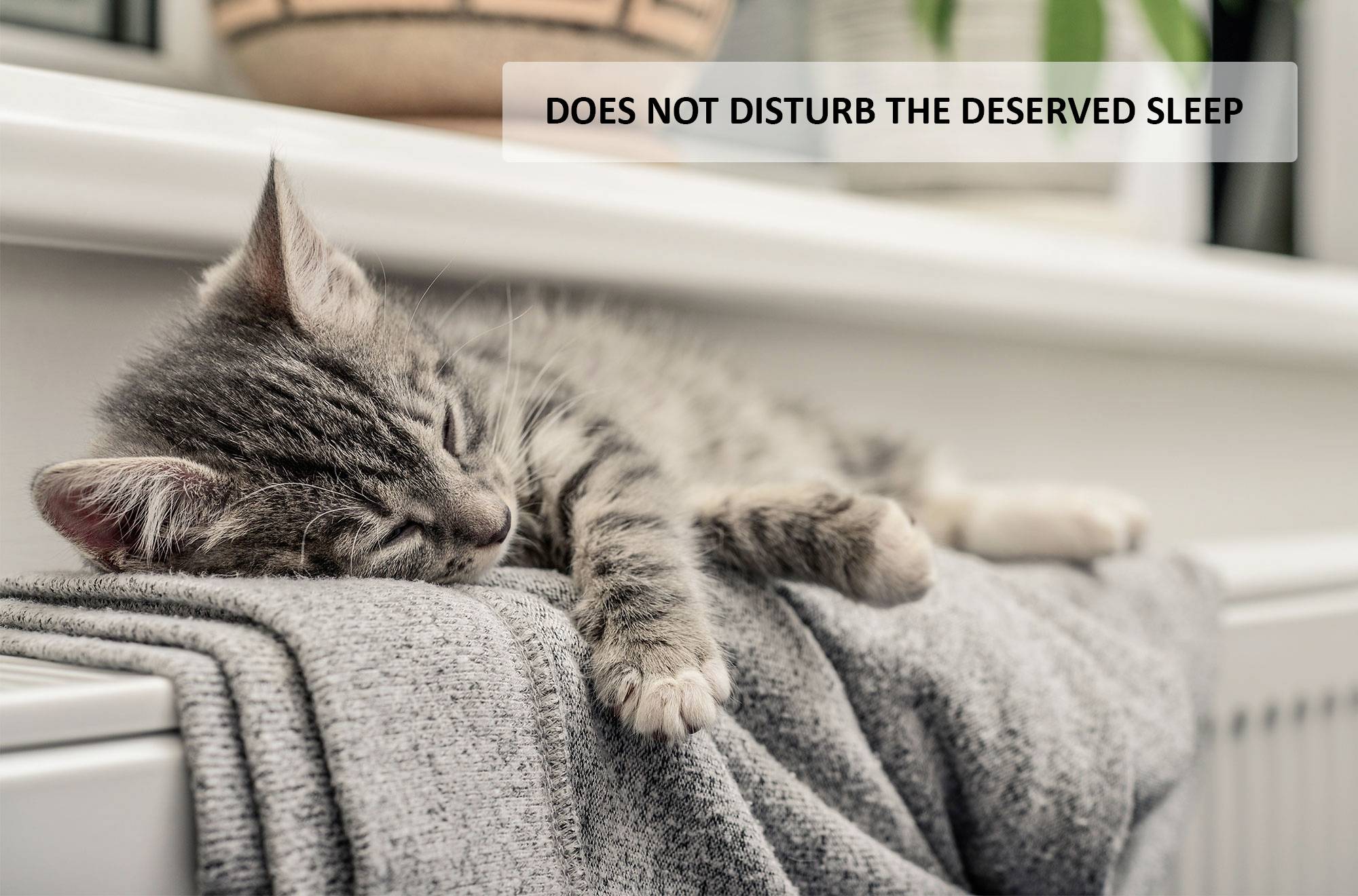 POPP POPZ701721 Smart Thermostat Zigbee Funk-Heizkörperthermostat elektronisch