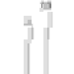 REEKIN Apple iPad/iPhone/iPod Câble de charge [1x USB-C® - 1x Dock mâle Lightning] 1.00 m blanc
