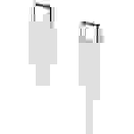 REEKIN USB-Ladekabel USB 2.0 USB-C® Stecker, USB-C® Stecker 1.00 m Weiß 4260272282979