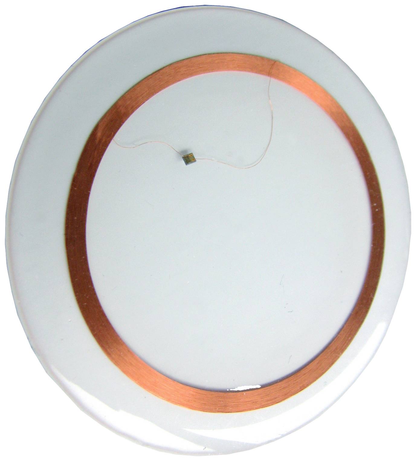 Pepperl+Fuchs 261642 RFID-Transponder IPC11-50CD 10pcs 10St.