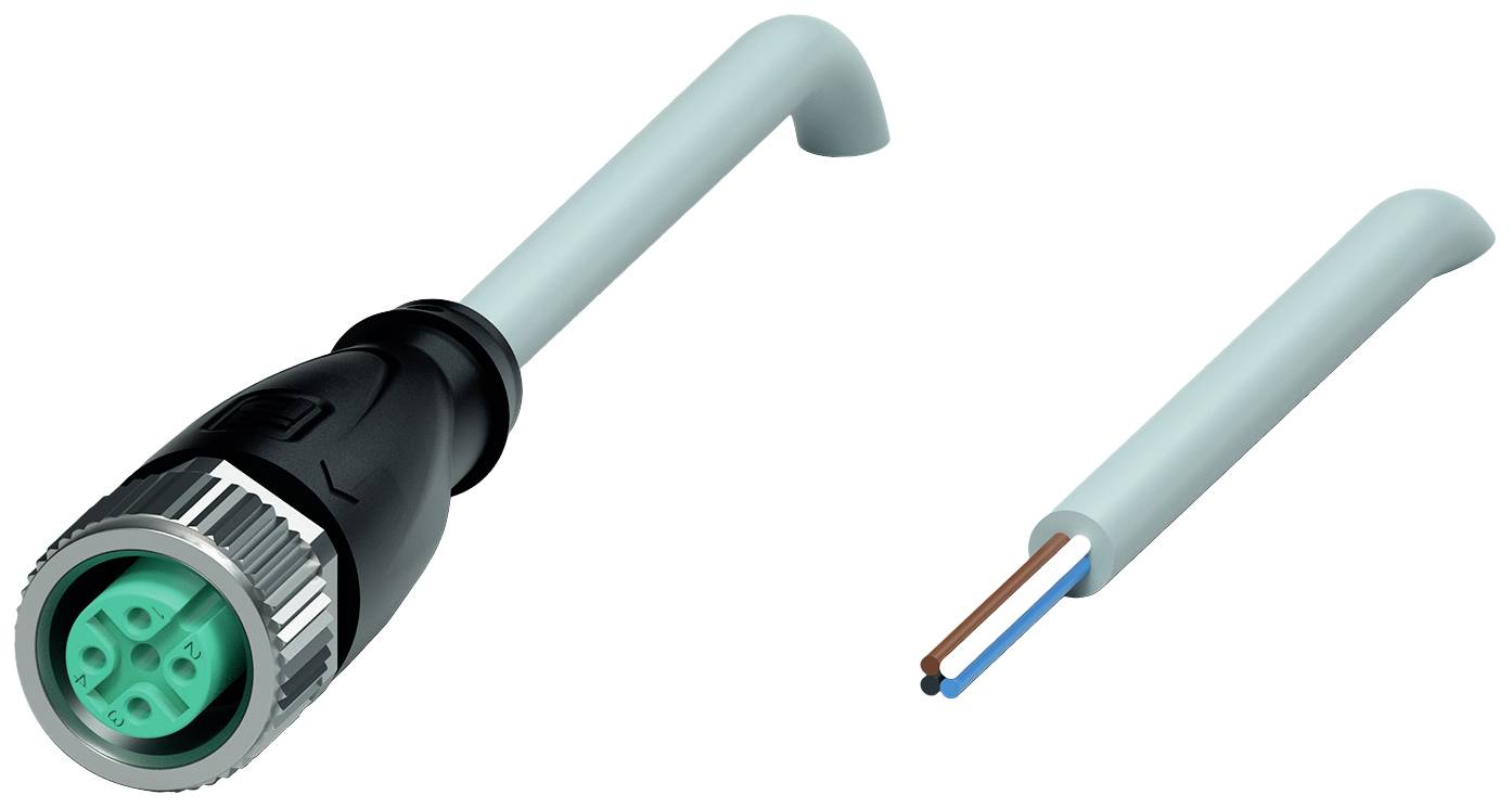 Stecker mit grüner Buchse links, daneben graues Kabel mit braunen und blauen Drähten.