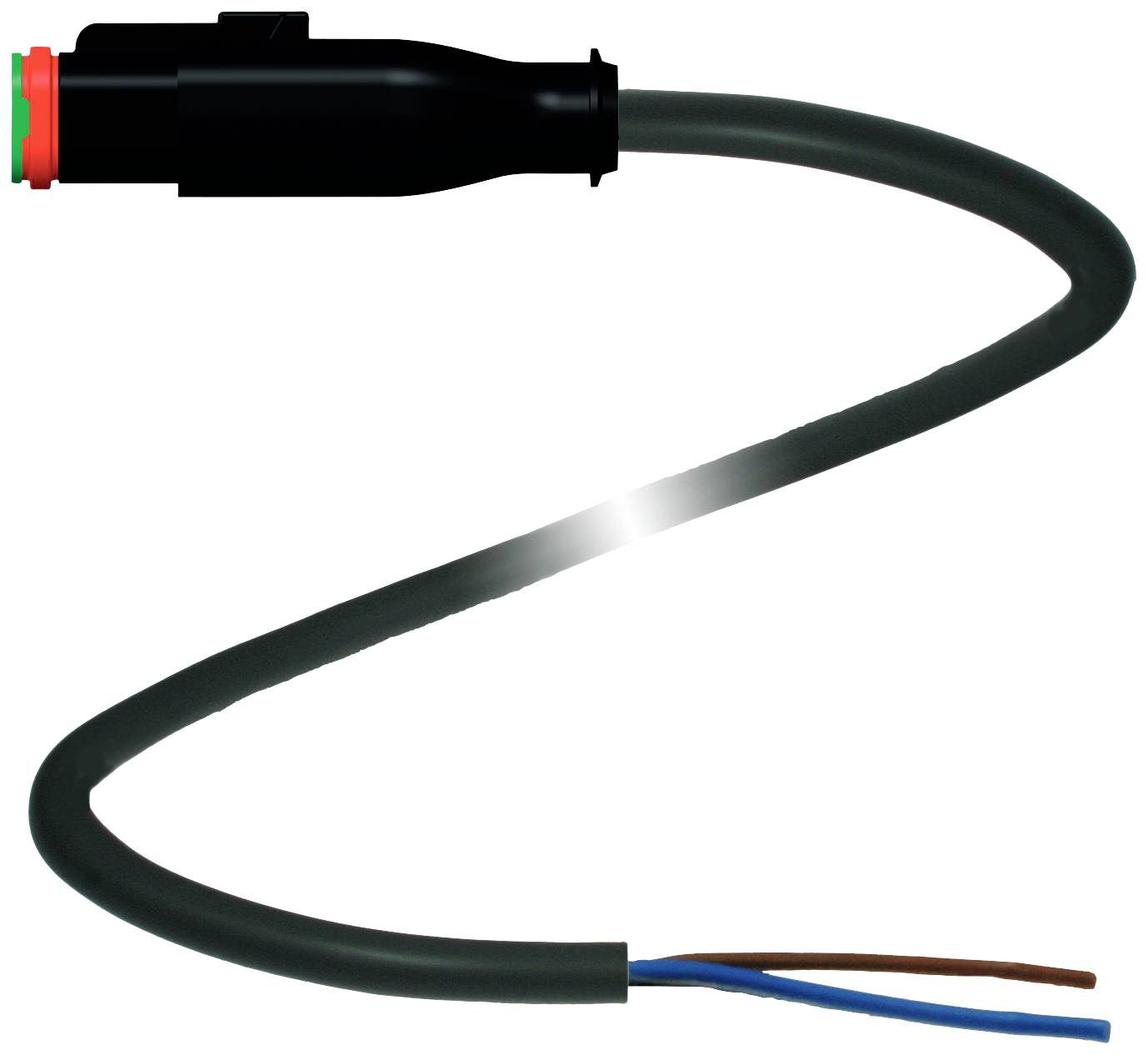 Schwarzes Elektrokabel mit Steckverbinder auf einer Seite und abisolierten Adern in Blau und Braun auf der anderen Seite.
