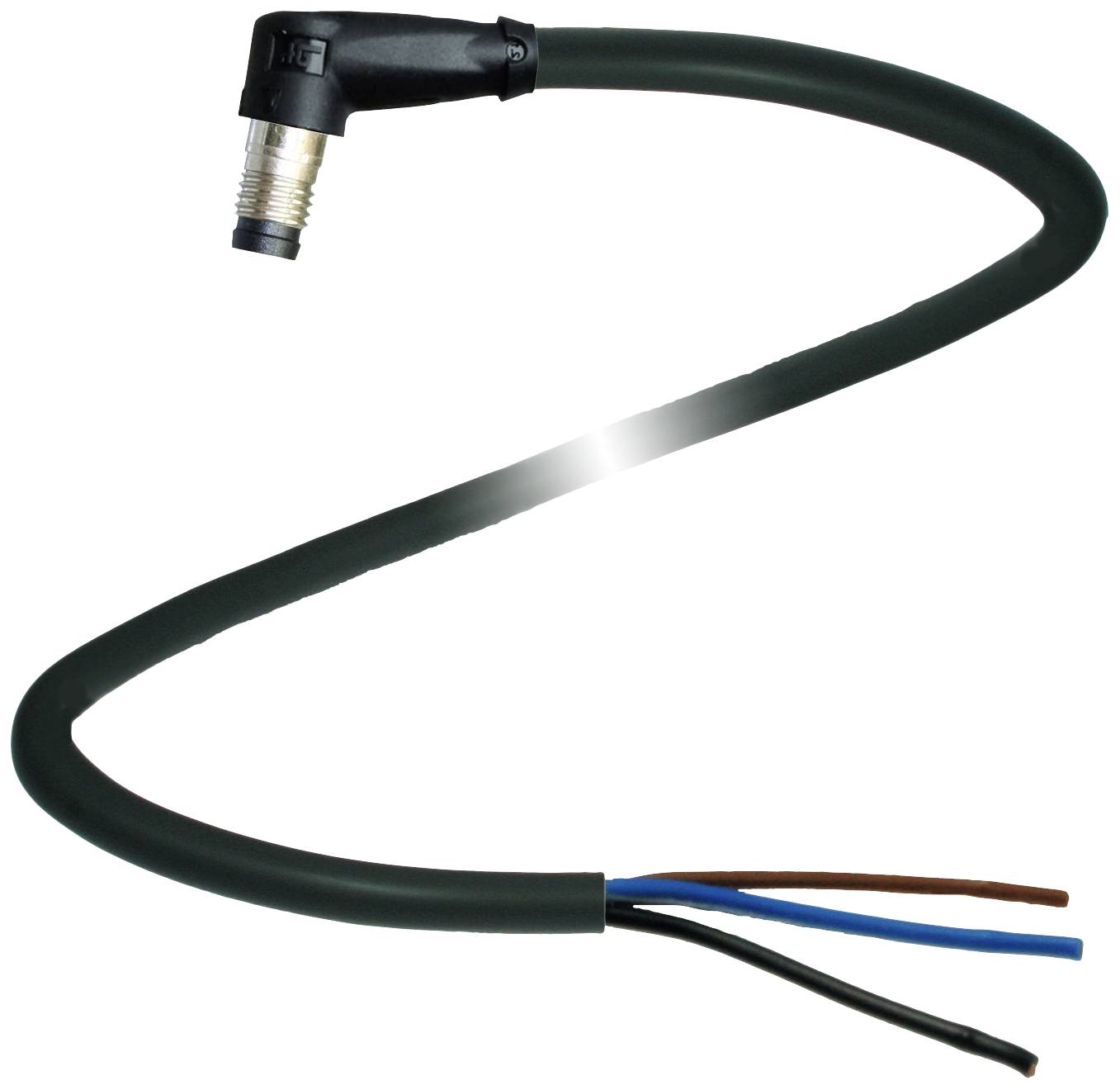 Ein schwarzes, gewundenes Kabel mit einem Winkelstecker an einem Ende und drei freiliegenden Drähten in Blau, Braun und Schwarz am anderen Ende.