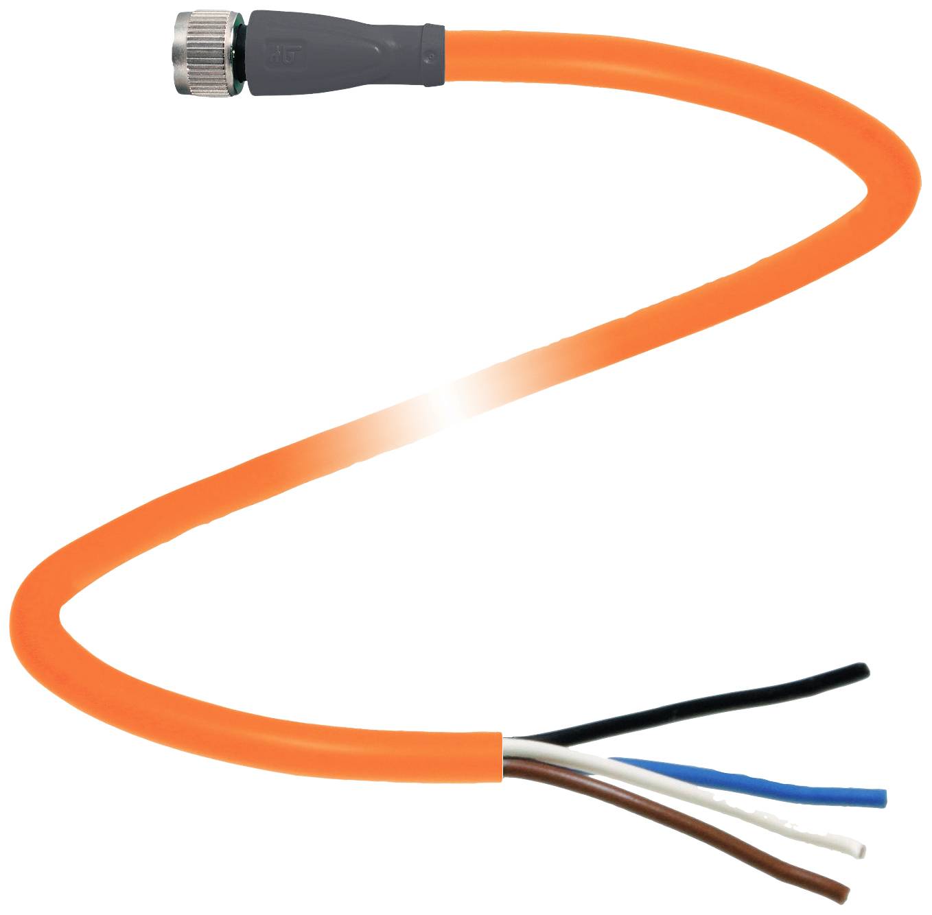 Ein orangefarbenes, ummanteltes Kabel mit einem Steckverbinder an einem Ende und vier freiliegenden Drähten in Blau, Weiß, Braun und Schwarz am anderen Ende.
