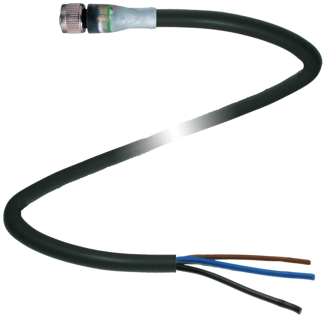 Ein schwarzes Kabelleitungsstück mit freiliegenden Drähten an einem Ende und einem Stecker am anderen Ende für elektrische Verbindungen.