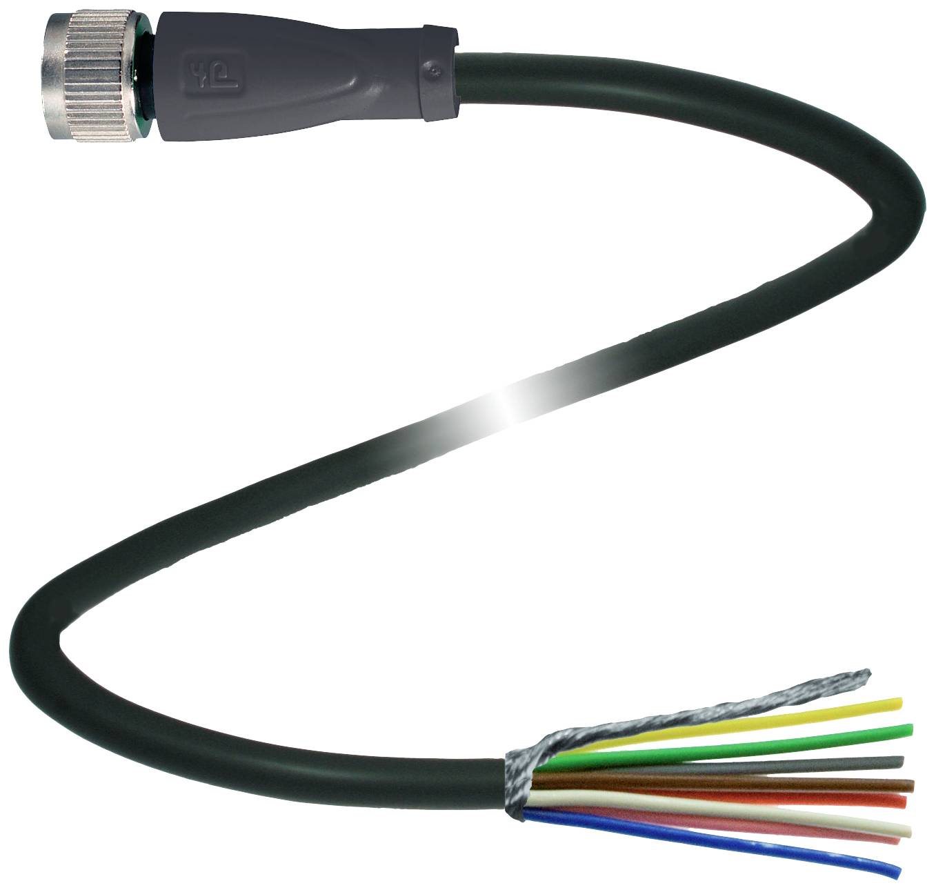 Ein schwarzes Kabel mit Stecker auf der einen Seite und offenen, farbigen Drähten auf der anderen Seite.