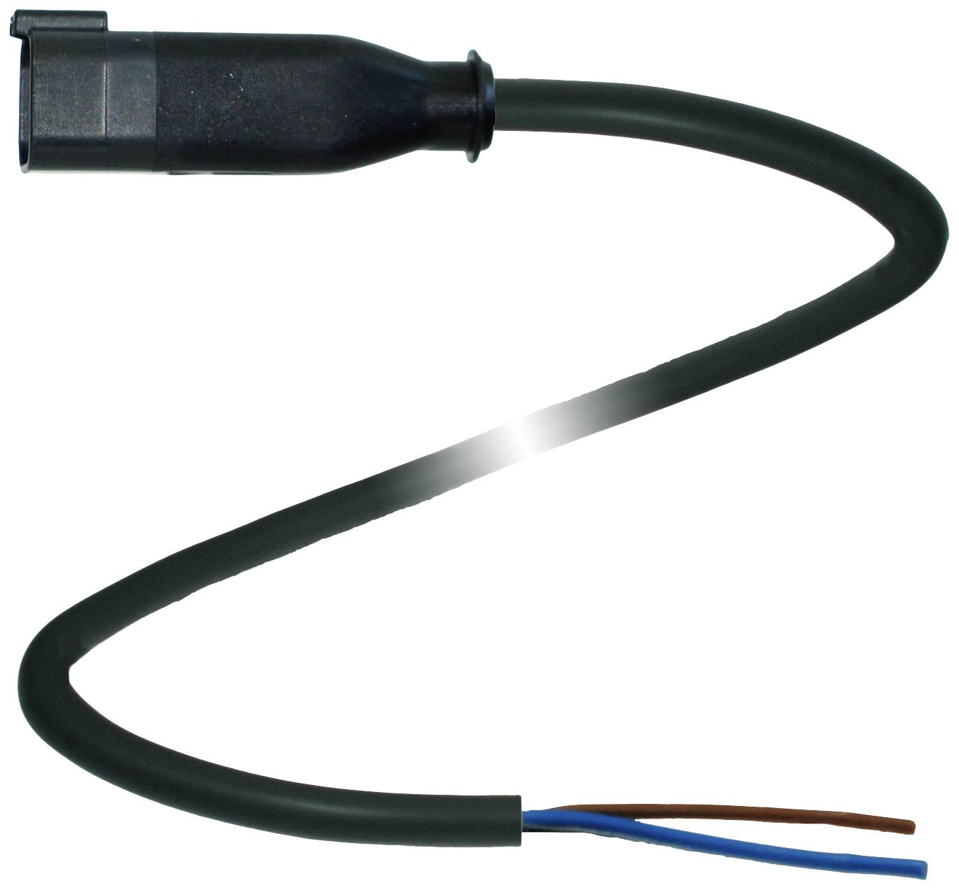 Ein schwarzes, elektrisch isoliertes Kabel mit einem Steckerende und zwei offenen Drahtenden, eines blau und eines braun.