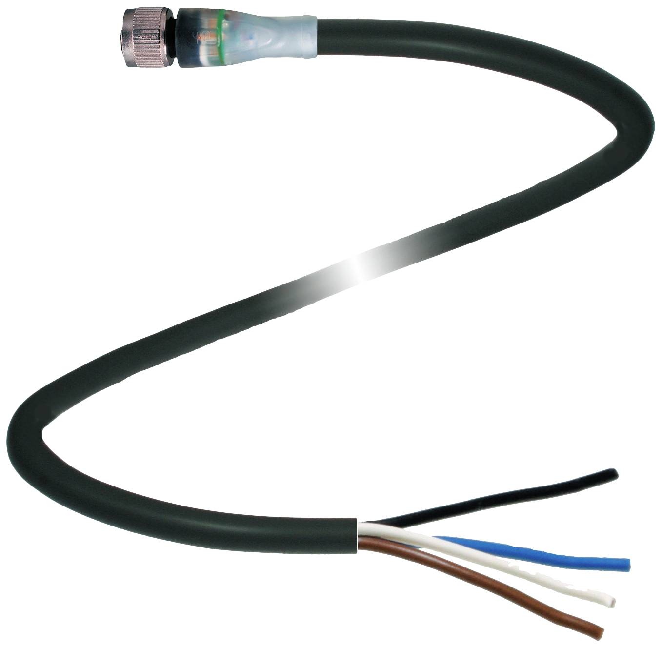 Ein schwarzes Kabel mit vier abisolierten Drähten in den Farben Blau, Weiß, Braun und Schwarz. Am Ende ist ein grüner Stecker montiert.