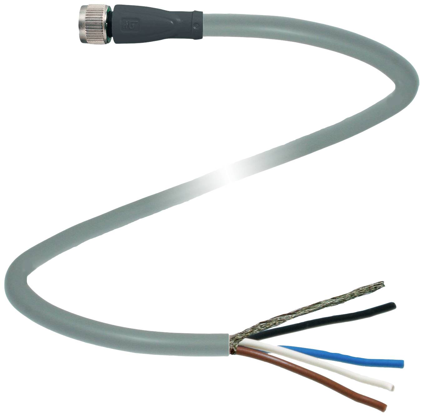 Ein graues Kabel mit einem silbernen Steckerende und vier freigelegten Drahtenden in den Farben blau, schwarz, braun und weiß.