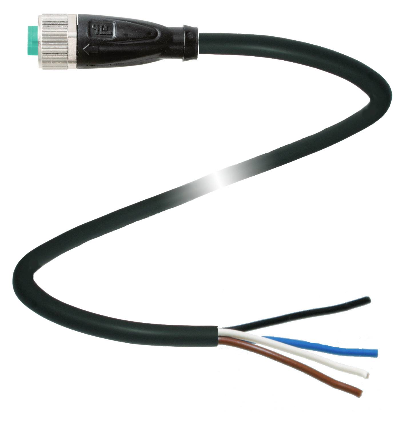 Ein schwarzes, flexibles Kabel mit einem Stecker am Ende, freiliegenden Drähten in Weiß, Blau und Braun, vor weißem Hintergrund.