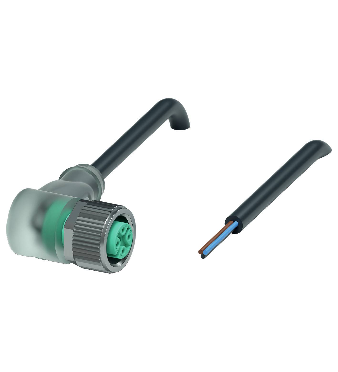 Ein abgewinkelter elektrischer Stecker neben einem Kabel mit zwei sichtbaren Adern, eine braun und eine blau, vor weißem Hintergrund.