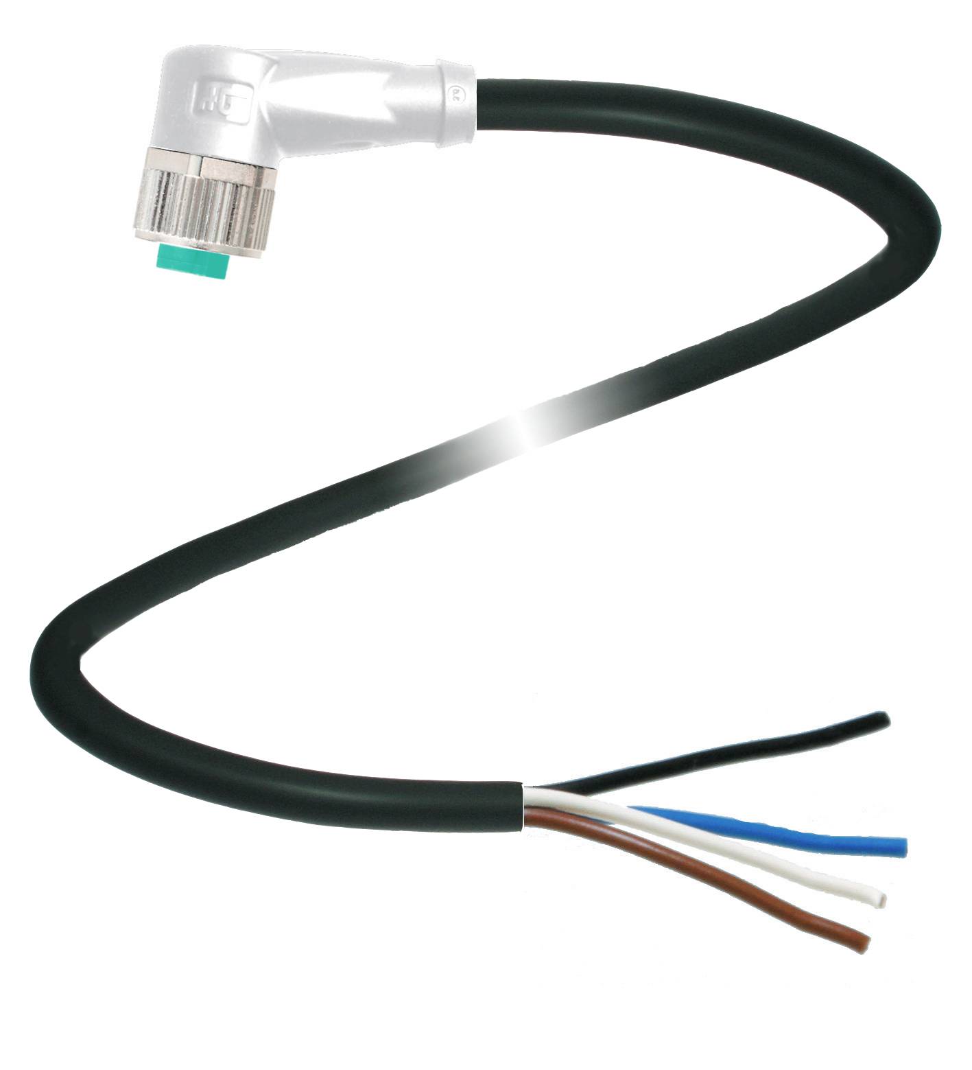 Schwarzes Kabel mit vier abisolierten Enden in Blau, Weiß, Braun und Schwarz, verbunden mit einem silbernen Steckverbinder.