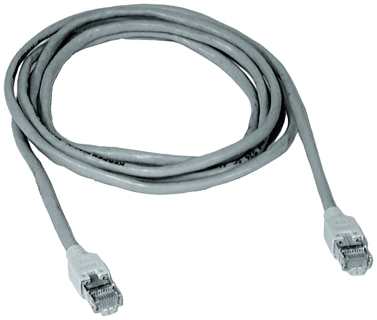 Ein graues Ethernet-Kabel mit zwei RJ45-Steckern an den Enden, aufgerollt in einer Schlaufe, vor einem weißen Hintergrund.
