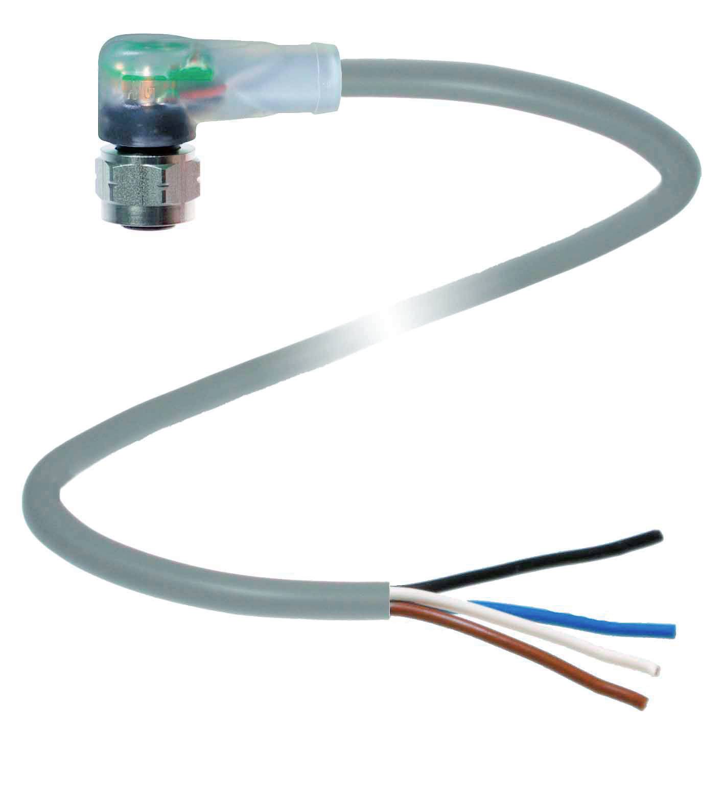 Elektrisches Kabel mit Kunststoffummantelung und vier freiliegenden Aderleitungen: schwarz, blau, braun und weiß. Geeignet für Anschlussarbeiten.