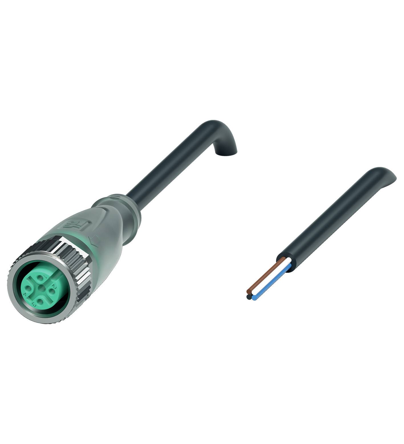 Ein M12-Stecker mit Kabel und ein abgeschnittener Teil eines zweiten Kabels mit blauen und braunen Drähten, auf weißem Hintergrund.