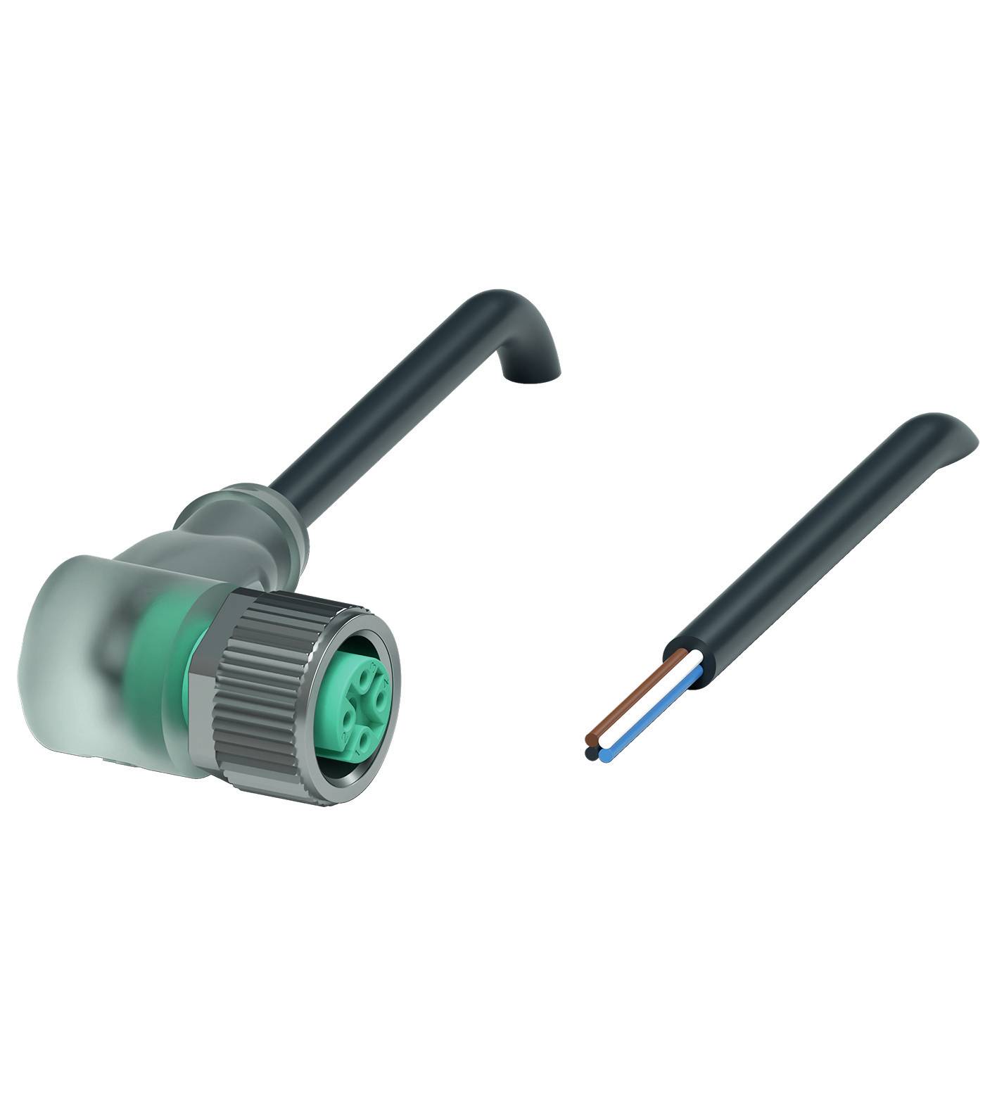 Ein abgewinkelter Powerstecker mit leerem transparentem Gehäuse und einem schwarzen Kabel, das ein blaues und ein braunes Kabel freigibt.