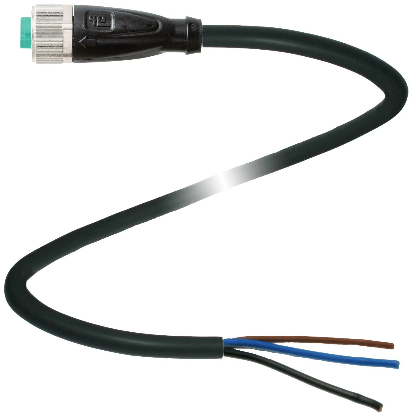 Schwarzes Stromkabel mit einem Stecker auf einer Seite und drei abisolierten Adern auf der anderen Seite: braun, blau, grün/gelb.