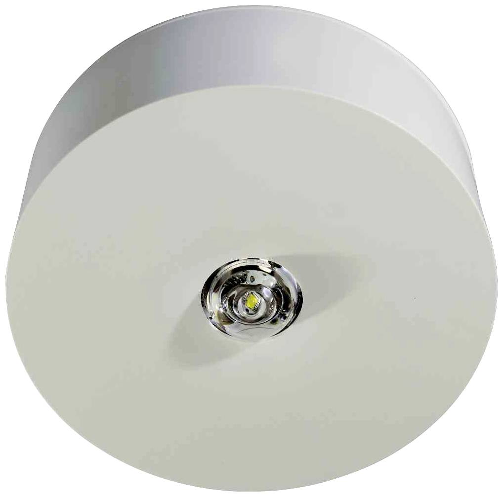 RP Technik ILDR029ML Sicherheitsleuchte Deckenmontage